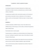 La organización – Creación y organización de equipos