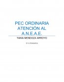 Atención al alumnado con necesidades educativas especiales