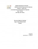 Servicio de Vigilancia y Patrullaje Según el Nuevo Modelo Policial