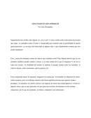 Los celos en los animales