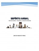 IDEA DE NEGOCIO ESPIRITU ANIMAL