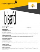 POWER MAX S.A DE C.V