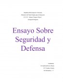 Ensayo Sobre Seguridad y Defensa
