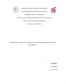 “ANÁLISIS DE LA OFERTA, LA DEMANDA Y DETERMINACIÓN DEL PRECIO DE EQUILIBRIO”