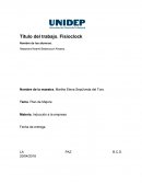 Plan de mejora Fisioclock