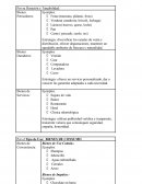 Ejercicio de Ejemplificacion Clasificación de Productos y Estrategias