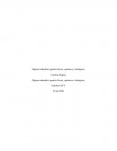 Higiene Industrial: Agentes Físicos