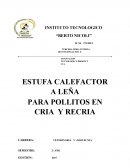 Estufa calefactora para pollito bebe
