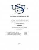 INFORME: “ GRUPOS Y MEDIOS SOCIALES” ANÁLISIS DEL COMPORTAMIENTO DEL CONSUMIDOR
