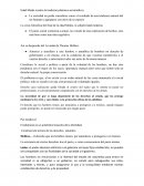 Linea de tiempo de los DD HH