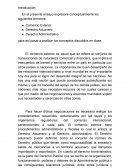 Ensayo de Derecho Administrativo