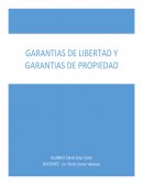 DERECHO. Garantias de libertad