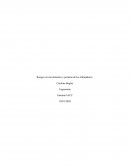 Riesgos en movimientos y posturas de los trabajadores