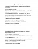Trabajo de ciencias Las proteínas: están formadas por moléculas pequeñas llamadas aminoácidos
