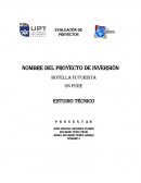NOMBRE DEL PROYECTO DE INVERSIÓN Botella futurista