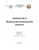 Operaciones mecánica. La conminución selectiva