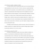 ¿Cómo influyen los sentidos y maridajes en la India?