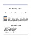 Almohadillas herbales