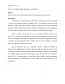 PRÁCTICA No. 10 CULTIVO DE MICROORGANISMOS ANAEROBIOS