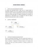 Plan de trabajo, microempresa familiar(MEF)