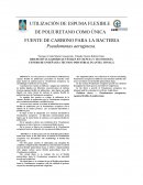 UTILIZACIÓN DE ESPUMA FLEXIBLE DE POLIURETANO COMO ÚNICA FUENTE DE CARBONO PARA LA BACTERIA Pseudomonas aeruginosa