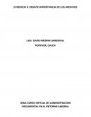 ENSAYO IMPORTANCIA DE LOS ARCHIVOS