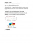 Descripción de la industria