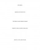 Valor en los Proyectos