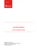 ACTIVIDAD FORMATIVA Uso de la información contable