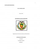 CONTABILIDAD ESPECIALIZADA . NIC 41 Segunda parte