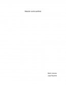 Pedagogía en Historia y CC.SS