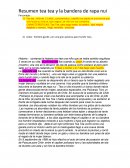 Resumen tea tea y la bandera de Rapa Nui