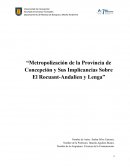 Metropolización de la Provincia de Concepción y sus implicancias en el Humedal Rocuant Andalién