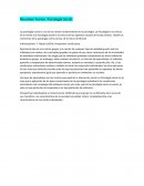 Resumen Turner Psicología social