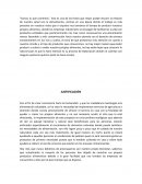 HUERTO y alimentación saludable