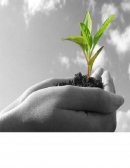 EL SISTEMA DE AGRO - NEGOCIOS PERUANO