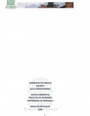 HIDRÁULICA DE CANALES