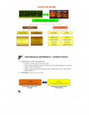 PROCESOS DE ELABORACIÓN DE ACEITES PARA FRITURAS