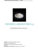 DETERMINACIÓN DE SÍLICE