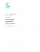 Actividad 1 Plataformas LMS