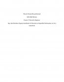 Plan de Desarrollo profesional SIIX EMS México