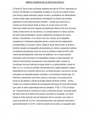 MARCO TEORICO DE LA PUNTA DE PICATA