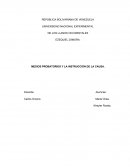 MEDIOS PROBATORIOS Y LA INSTRUCCIÓN DE LA CAUSA