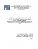 PROPUESTA DE CANALIZACIÓN CON IMPLEMENTACIÓN DE PAISAJISMO EN QUEBRADA DEL RÍO EL VALLE, CALLE LAS AMAPOLAS DEL VALLE DEL ESPÍRITU SANTO, MUNICIPIO