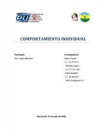 SINTESIS FINAL. COMPORTAMIENTO INDIVIDUAL. Página 1