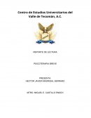 Efectividad de la Terapia Cognitivo Conductual