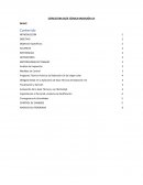 ESTRUCTURA GUÍA TÉCNICA RADIACIÓN UV