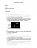 Ágil Mente Trabajo Práctico UTN Haedo