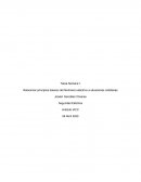 Relacionar principios básicos del fenómeno eléctrico a situaciones cotidianas
