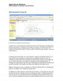 Cargador de Ruedas Tren de Fuerza